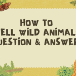 how to tell wild animals