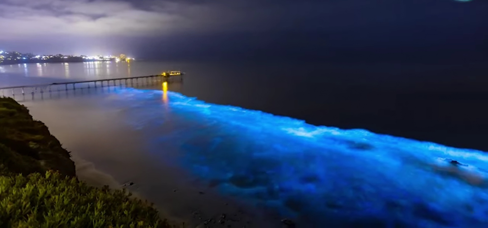 bioluminescent waves at ECR beach