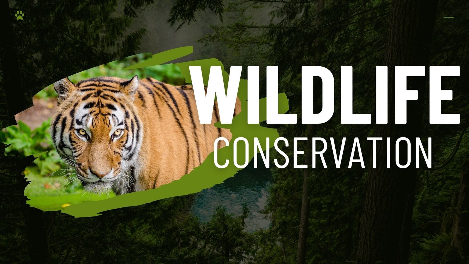 wildlife conservation efforts in india